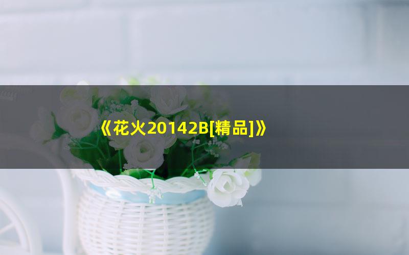 《花火20142B[精品]》