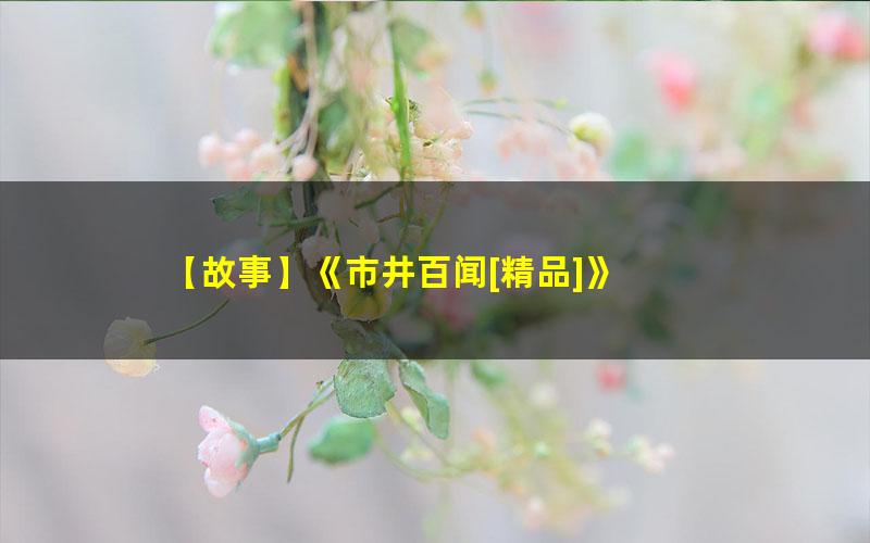 【故事】《市井百闻[精品]》