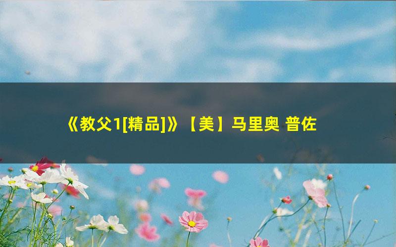 《教父1[精品]》【美】马里奥 普佐