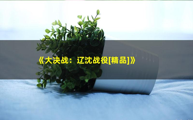 《大决战：辽沈战役[精品]》