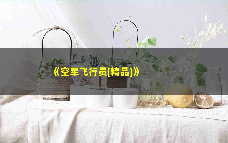 《空军飞行员[精品]》