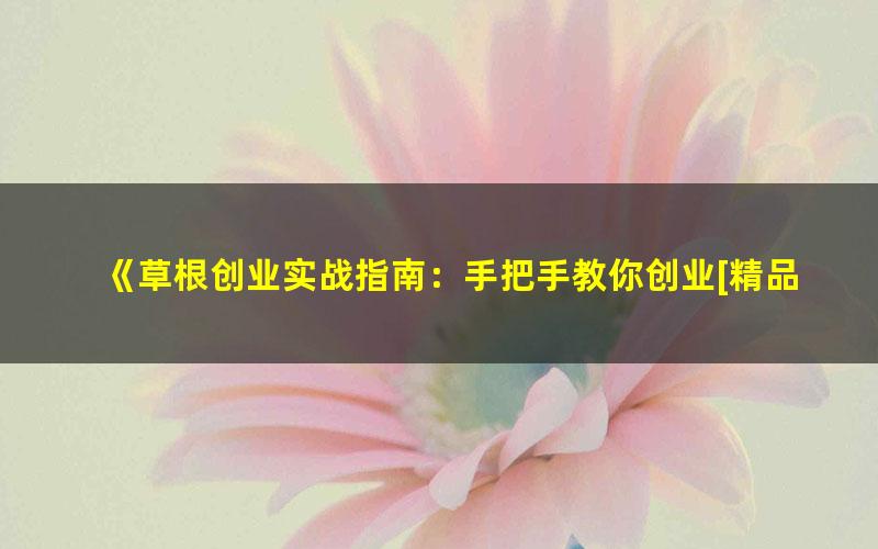 《草根创业实战指南：手把手教你创业[精品]》