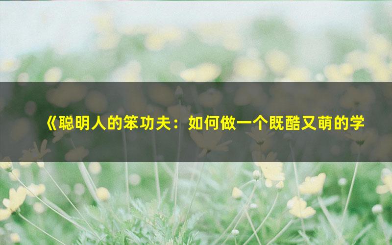 《聪明人的笨功夫：如何做一个既酷又萌的学霸[精品]》