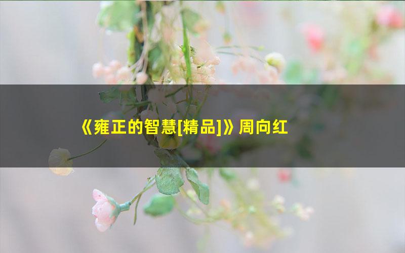 《雍正的智慧[精品]》周向红