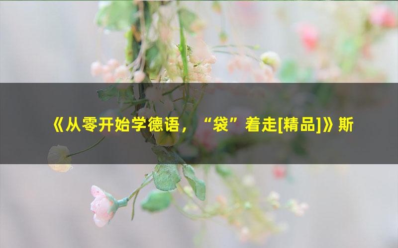 《从零开始学德语，“袋”着走[精品]》斯蒂芬·弗洛伊德