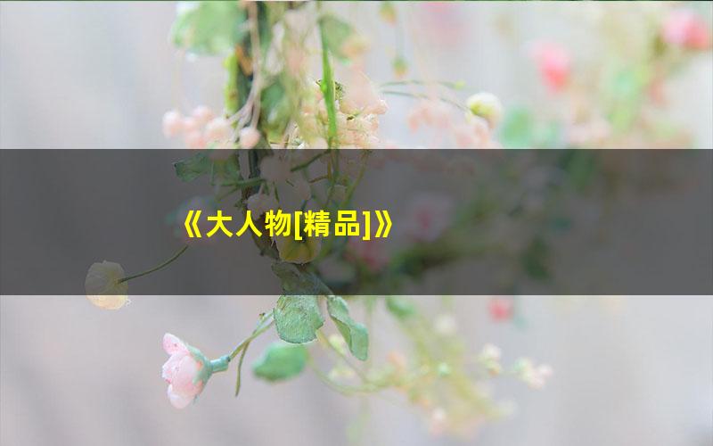 《大人物[精品]》