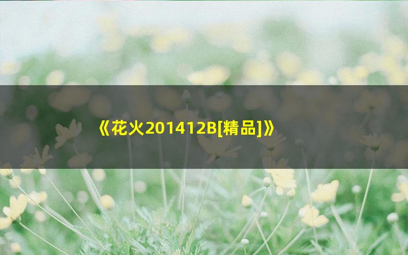 《花火201412B[精品]》