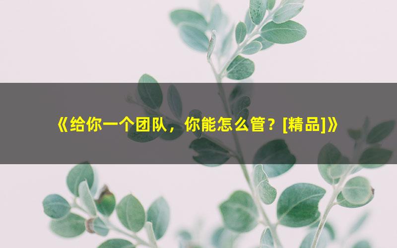 《给你一个团队，你能怎么管？[精品]》