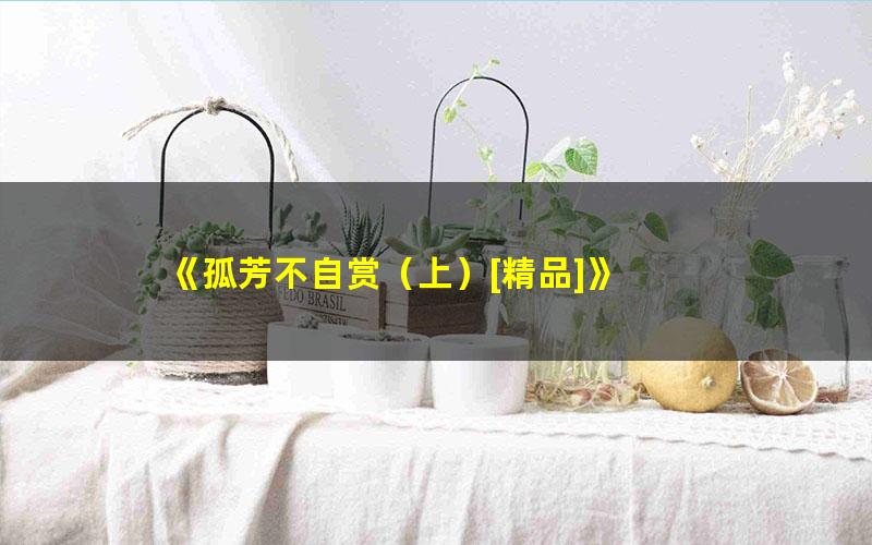 《孤芳不自赏（上）[精品]》