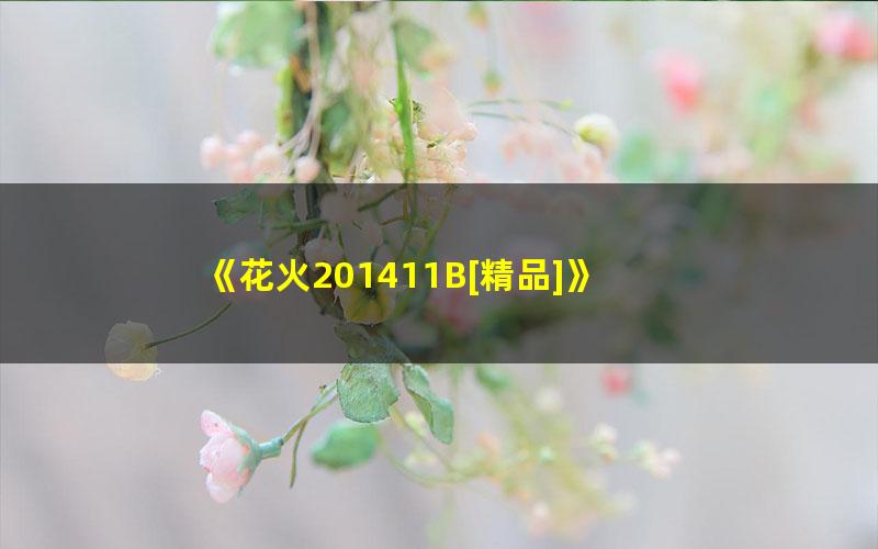 《花火201411B[精品]》