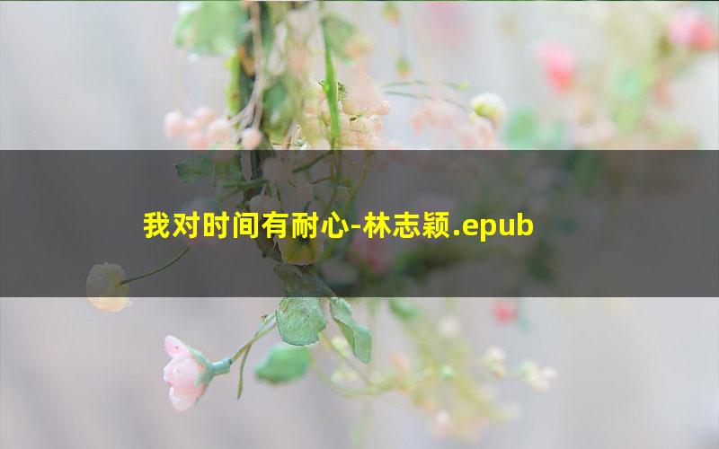 我对时间有耐心-林志颖.epub