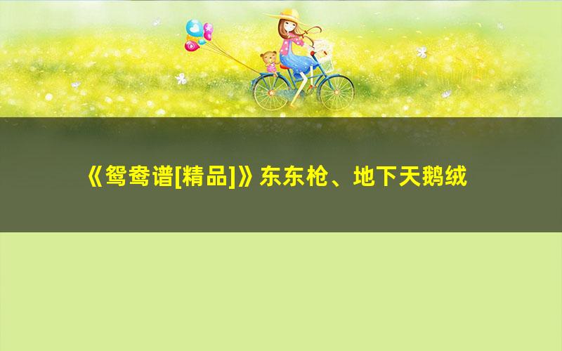 《鸳鸯谱[精品]》东东枪、地下天鹅绒
