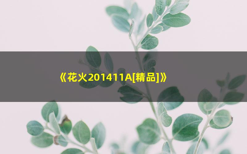 《花火201411A[精品]》