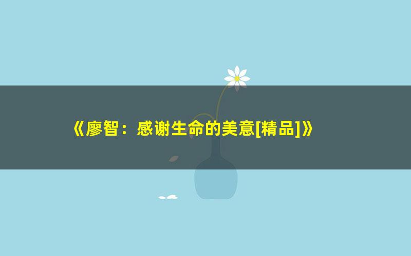 《廖智：感谢生命的美意[精品]》