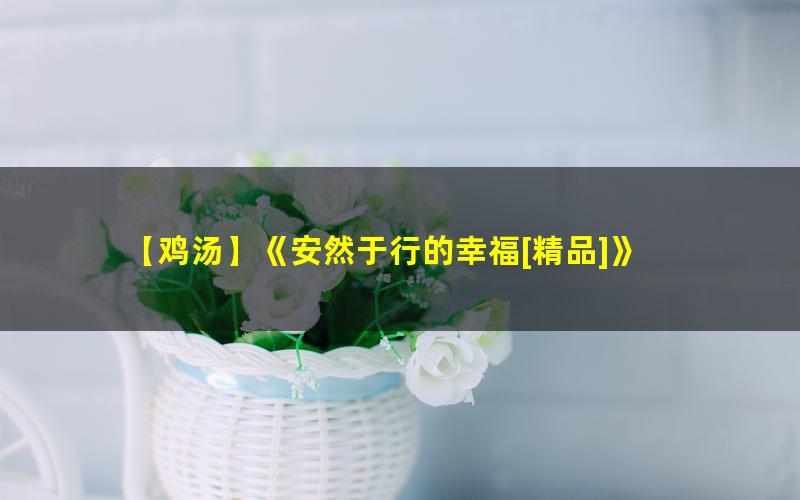 【鸡汤】《安然于行的幸福[精品]》