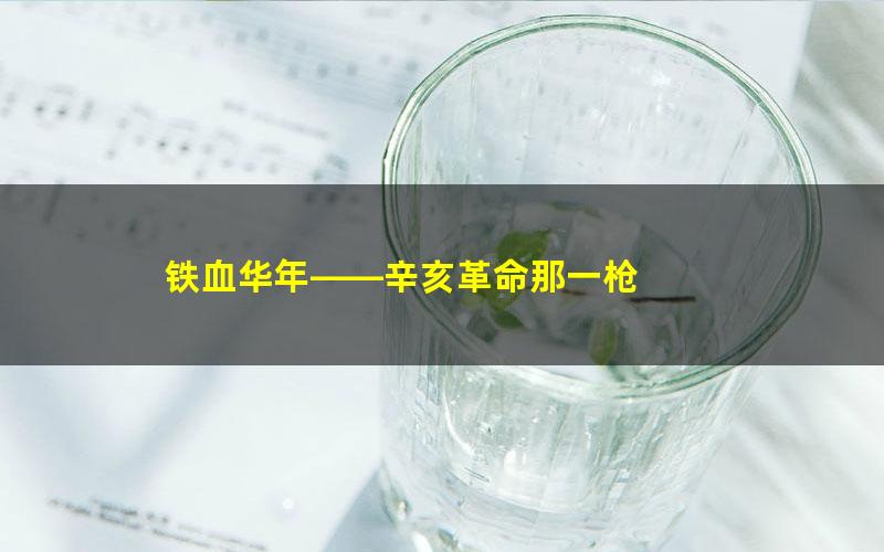 铁血华年——辛亥革命那一枪 pdf/azw3/mobi电子版百度夸克网盘免费下载