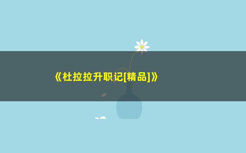 《杜拉拉升职记[精品]》