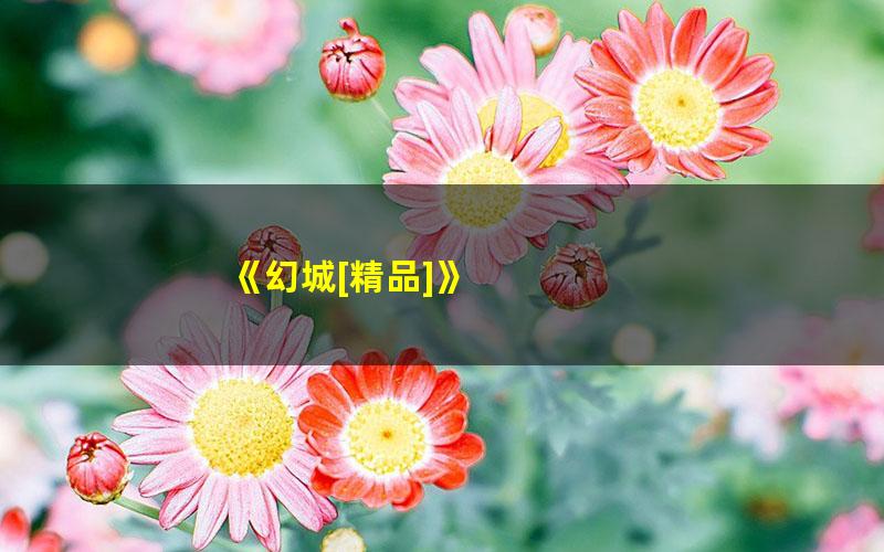 《幻城[精品]》