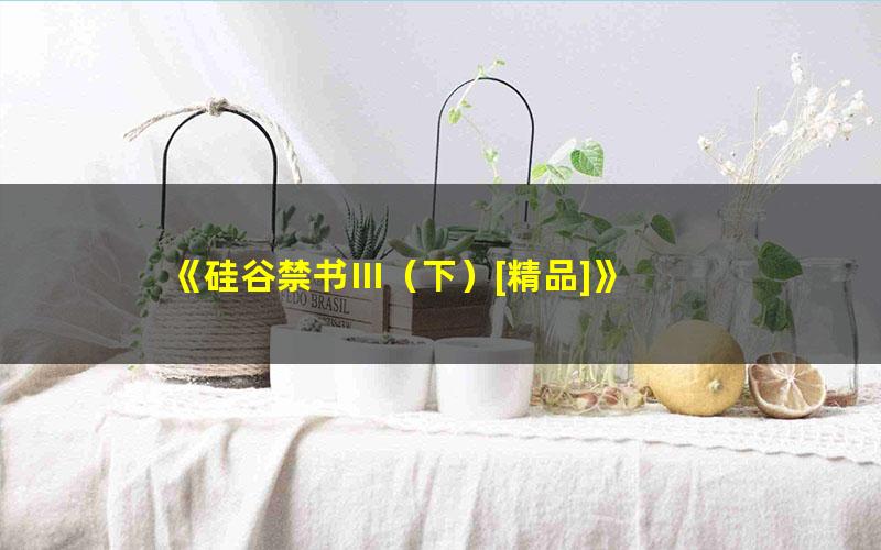 《硅谷禁书Ⅲ（下）[精品]》