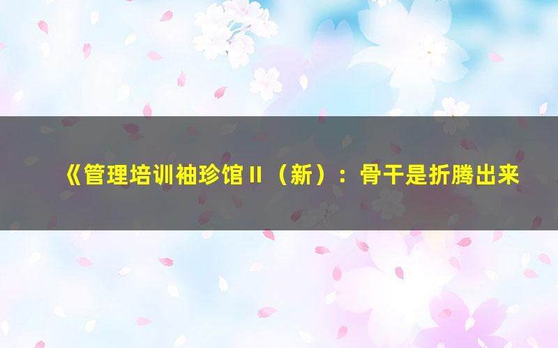 《管理培训袖珍馆Ⅱ（新）：骨干是折腾出来的[精品]》