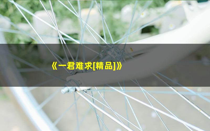 《一君难求[精品]》 pdf/azw3/mobi电子版百度夸克网盘免费下载