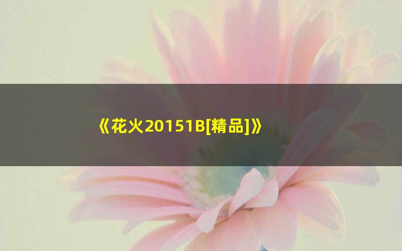 《花火20151B[精品]》