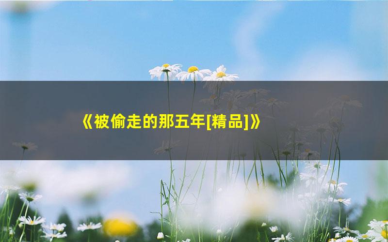 《被偷走的那五年[精品]》