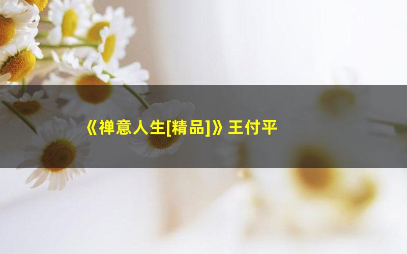 《禅意人生[精品]》王付平
