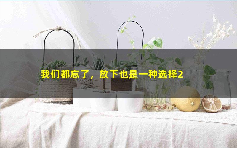 我们都忘了，放下也是一种选择2