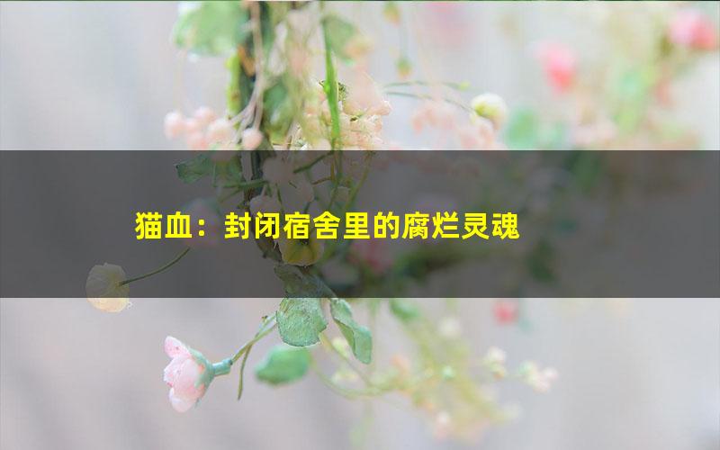 猫血：封闭宿舍里的腐烂灵魂