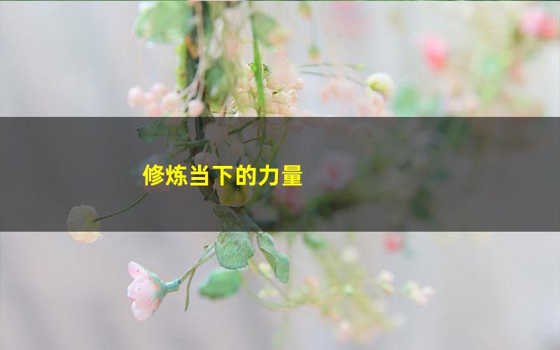 修炼当下的力量