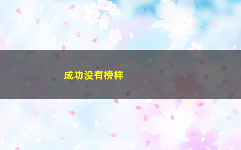 成功没有榜样