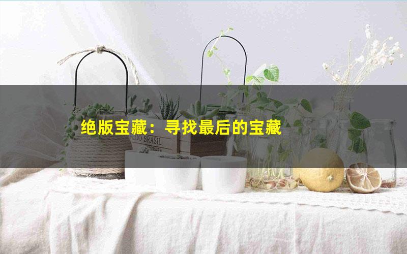 绝版宝藏：寻找最后的宝藏