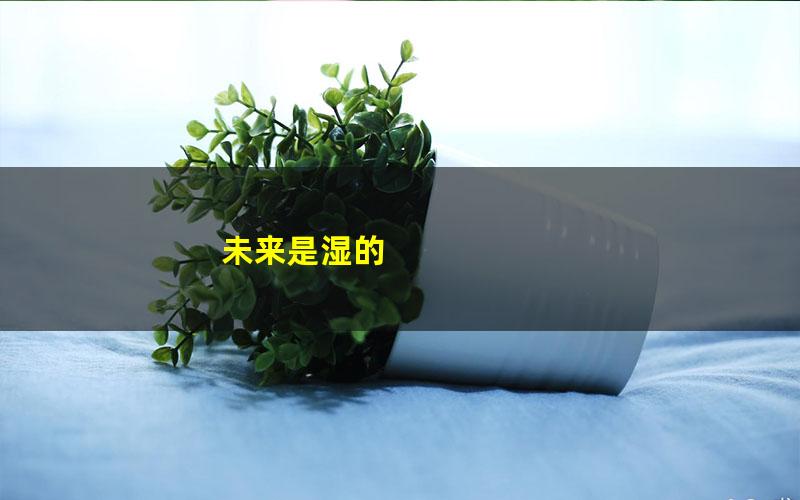 未来是湿的