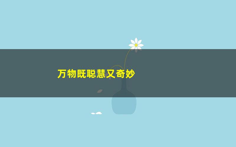 万物既聪慧又奇妙