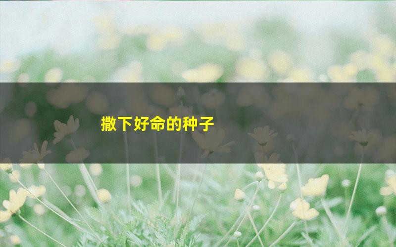 撒下好命的种子