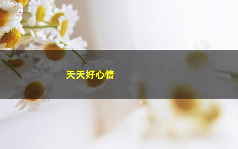 天天好心情