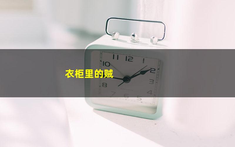 衣柜里的贼