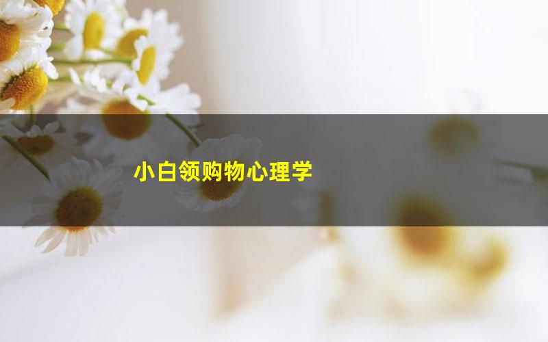 小白领购物心理学