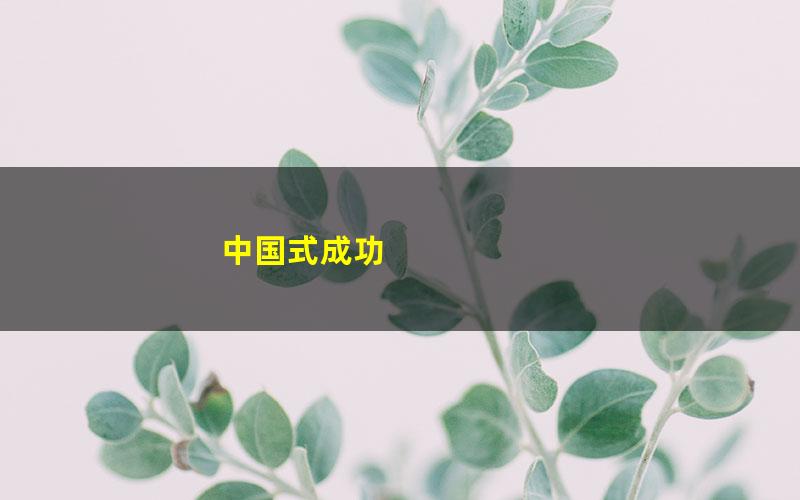 中国式成功