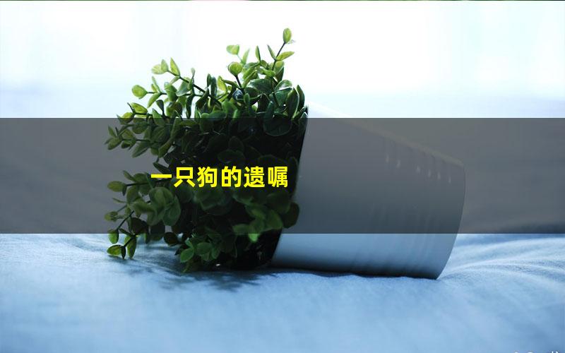 一只狗的遗嘱