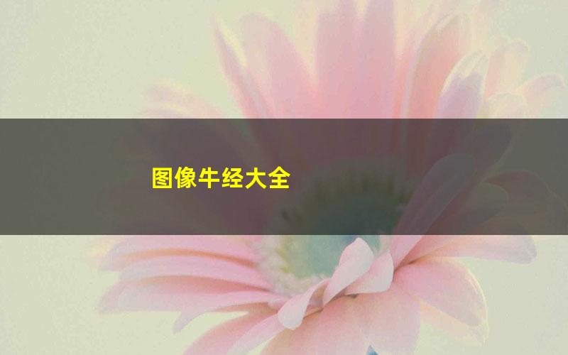 图像牛经大全