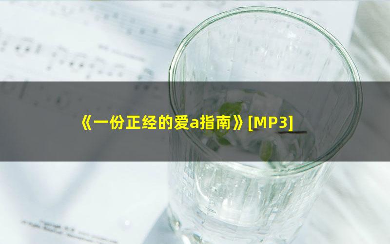 《一份正经的爱a指南》[MP3] 百度夸克网盘免费下载