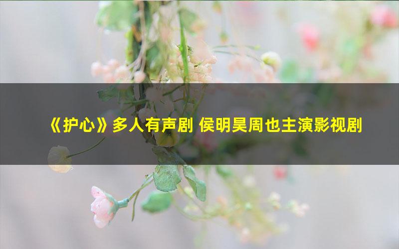 《护心》多人有声剧 侯明昊周也主演影视剧原著 162集完结[mp3]