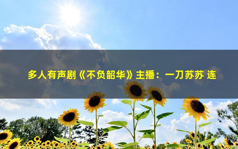 多人有声剧《不负韶华》主播：一刀苏苏 连载至1110集[MP3][6.4G]