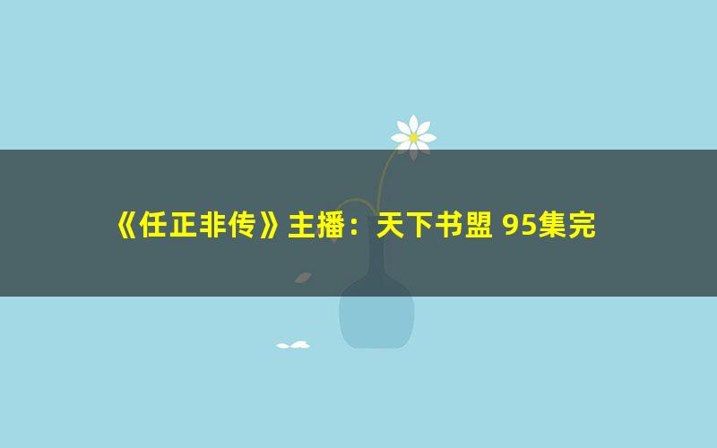 《任正非传》主播：天下书盟 95集完
