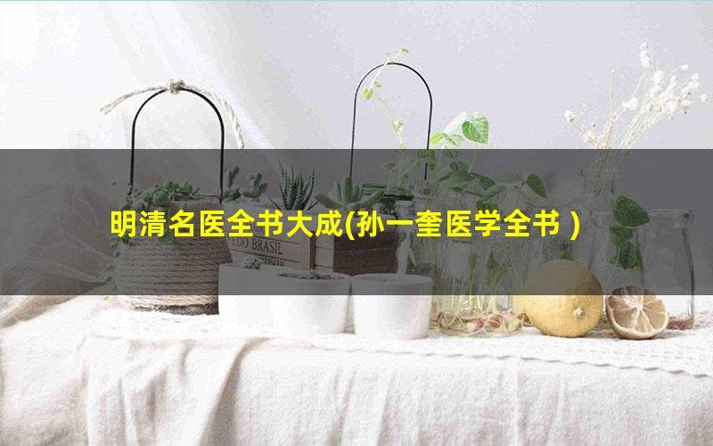 明清名医全书大成?孙一奎医学全书