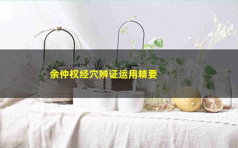 余仲权经穴辨证运用精要