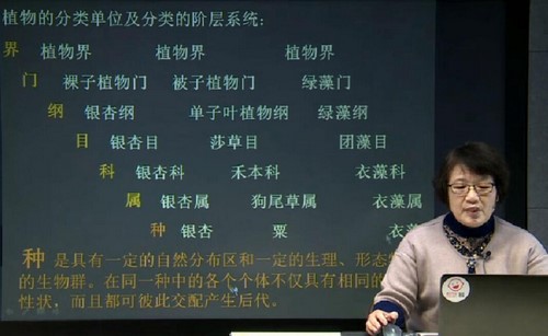 北斗植物分类