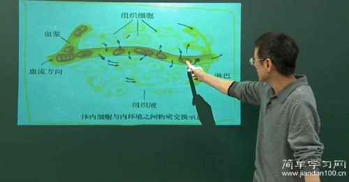 林祖荣生物百度网盘（简单学习网高二生物同步必修二）
